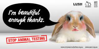 An estimated 27,000 live rabbits, mice, rats are still being used for cosmetics testing across the world. Cosmetic Testing On Animals There S About 26 Million Animals That By Kayla Lynn Carrier Medium