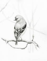 Your Place To Buy And Sell All Things Handmade In 2020 Bird Art Print Bird Drawings Fine Art Giclee Prints