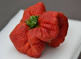 La Plus Grosse Fraise Du Monde 2 Fraise Fukuoka Gros