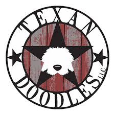 I have one reservation list for all of my mini sheepadoodles litters and one waiting list for all of the micro sheepadoodle littes. Sheepadoodle Puppies For Sale In Texas