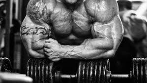 Lower back pain is extremely common. Bodybuilding Protein Bodybuilding Sites