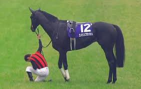 We did not find results for: å¤©è¦§ç«¶é¦¬ ç¬¬146å›žå¤©çš‡è³ž ç§‹ å¤©èŠ±ç¹šä¹±