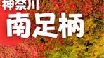 幻想的な夜の紅葉と灯り祭典