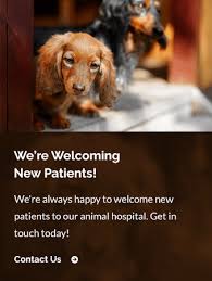 Miller veterinary services is a full service veterinary hospital serving conyers, georgia and the surrounding communities. Fever In Dogs Causes Symptoms Care Mamaroneck Veterinarians