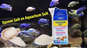 How To Use Aquarium Salt How To Use Epsom Salt In Aquariums Is Salt Safe For Freshwater Tanks Youtube