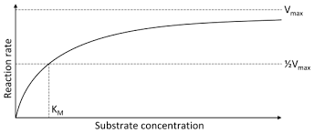 Nonlinear Optimization Of Enzyme Kinetic Parameters