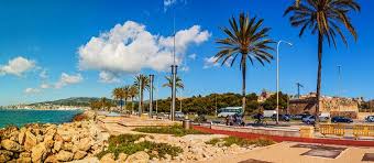 The palma de mallorca airport has carried out the following operational changes in order to meet palma de mallorca. Palma De Mallorca Sightseeing Shopping Und Strandleben In Der Inselhauptstadt