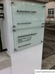 Check spelling or type a new query. Anatomisches Museum Description And Photos Switzerland Basel Usefultravelarticles Com