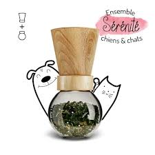 2 Recettes Naturelles Pour Nettoyer Les Oreilles De Votre Chien Ou Chat Truffe Moustache