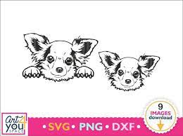 Chihuahua Svg Bundle Dog Svg Cricut Cute Animal Face Peeking Dog Digital Portrait Puppy Clipart Download Pet Head Vector Png Dxf In 2021 Chihuahua Svg Dog Svg Chihuahua Dogs