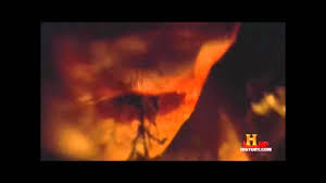 Armand assante, greta scacchi, isabella rossellini, jeroen. 902 Odysseus And The Cyclops Part I Youtube