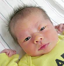 Steuben County births