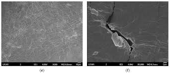 What does sdn bhd stand for? Applied Sciences Free Full Text Latex Based Membrane For Oily Wastewater Filtration Study On The Sulfur Concentration Effect Html