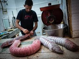 Cooked eggs are stuffed into fish, the fish stuffed into cooked chickens, the chickens stuffed into a roasted sheep's carcass and the sheep stuffed into a whole camel. there is a reference in culinary expert richard sterling's book the fearless diner in which he claims to have met someone who. Stuffed Camel Spleen Traditional Offal Dish From Morocco Maghreb