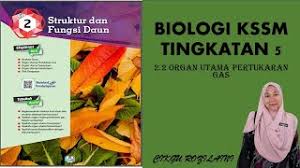 'biologi tingkatan 5' için 10000+ sonuç. Biologi Tingkatan 5 Bab 2 Struktur Dan Fungsi Daun Youtube