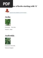 Image result for Conostomium gazense