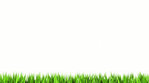 Plain background texture white backgrounds pattern textured nature green. White Wallpaper Art Hd 2021 Live Wallpaper Hd White Background Wallpaper White Wallpaper Plain White Wallpaper
