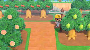 2 museum your museum is a very important building in animal crossing: Animal Crossing New Horizons Tips When Redesigning Your Island