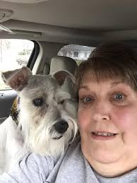 American Miniature Schnauzer Club