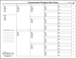 35 meticulous fillable pedigree chart free