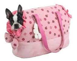 Ver más ideas sobre bolso para llevar perro, bolso para perro, perros. Bolsas Para Llevar Perros Off 56