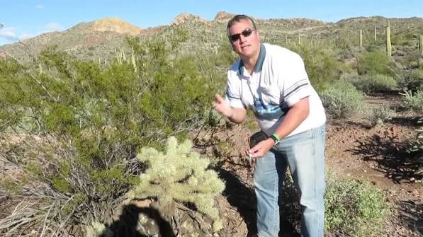PHOENIX: Most Dangerous Cactus in Arizona Desert: Jumping Cholla Cactus - The Extreme case