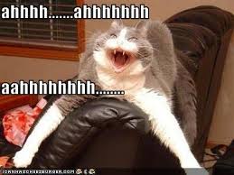 Pin On Makayla S Blog 3