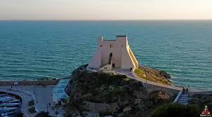 Image result for Spragueanella