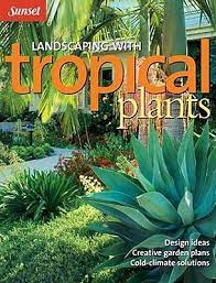 Planning a tropical garden is much the same as planning other types of gardens. Landscaping With Tropical Plants Design Ideas Creative Garden Plans Cold Climate Solutions