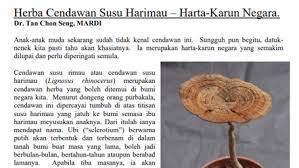 Cara menggunakanya hendaklah mengasah pada pasu dan dibasahkan dengan sedikit air dan diminum jika diamalkan seminggu 3 kali, insyaallah akan meredakan kesakitan dan menyembuhkan penyakit tersebut pada kesesuaian tahap penyakit tersebut. Ligno Biotech Sdn Bhd