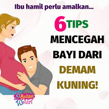 We did not find results for: 9bulan10hari 6 Tips Mencegah Bayi Dari Demam Kuning Facebook
