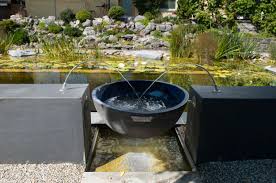 Parkoase Salamander Naturgarten Ag Brunnen Garten Naturgarten Garten