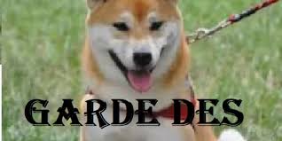 La garde nationale de votre animal, garde de chiens, garde d'animaux, pension pour chien, promenade de chien, garde de chat. Annonces Chiens Annonce Chiens En Romandie Joomil Ch
