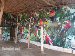 اسعار افريكا بارك طريق مصر اسكندرية 2020 منتدى رحلات مصر