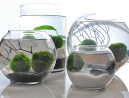 Clever Cool Indoor Garden Ideas Projects The Garden Glove