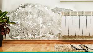 Check spelling or type a new query. Indoor Humidity 7 Tips To Dehumidify Your Home