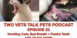 2020 popular 1 trends in home & garden, beauty & health, mother & kids, tools with cat bad teeth and 1. Dental Two Vets Talk Pets