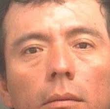 Photos: Prostitution sting