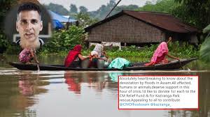 Bollywood Extends A Helping Hand Now Amitabh Bachchan Donates For Assam Flood Victims Hindi Movie News Times Of India No respite from floods in assam, bihar; amitabh bachchan donates