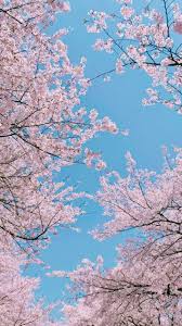 Pin By Mivivog On Wallpaper Landscape Wallpaper Spring Wallpaper Flower Wallpaper