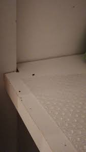 How big are mouse droppings? I Keep Finding This Black Things In My Kitchen Cabinet What Are They Whatisthisthing