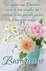 Ti Auguro Una Domenica Ricca Di Cose Semplici Che Rendano La Tua Giornata Gioiosa E Il Tuo Cuore Sereno Buongiorno Auguri Di Buongiorno Auguri Di Buona Notte