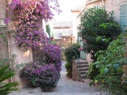 Bougainvillier Rue Etroite De Bormes Les Mimosas Provence France Bormes Les Mimosas Paysage Beaux Jardins