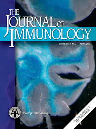 Papa und die schneefamilie elkes kindergeschichten im winter : Pig Bone Marrow Derived Macrophages Resemble Human Macrophages In Their Response To Bacterial Lipopolysaccharide The Journal Of Immunology