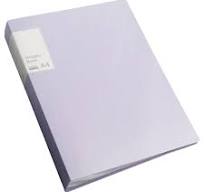 Double-sided File Folder- High-Transparency, Large Capacity, Inner Pockets,  Multifunctional Sheet Protector with Plastic Sleeves, A4 Paper Binder ...