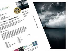 Certificat de inregistrare firma model. Cum Este Definita Evaluarea Unui Pictor Certificados De Autenticidad Para Artistas Galeristas Y Profesionales Del Arte