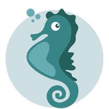 Projeto Hippocampus - Home | Facebook