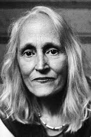 Bill Blume : biographie, filmographie, photos & vidéos