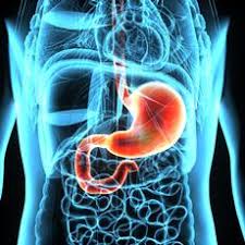 If signs are still pointing to stomach cancer, more tests will be done. Stomach Cancer Gastric Cancer Medlineplus