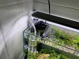 New (9) from $16.90 & free shipping on orders over $25.00. Iwagumi 6 5 Monsterfishkeepers Com